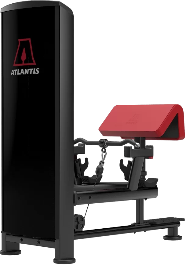 Atlantis Precision Standing Bicep Curl